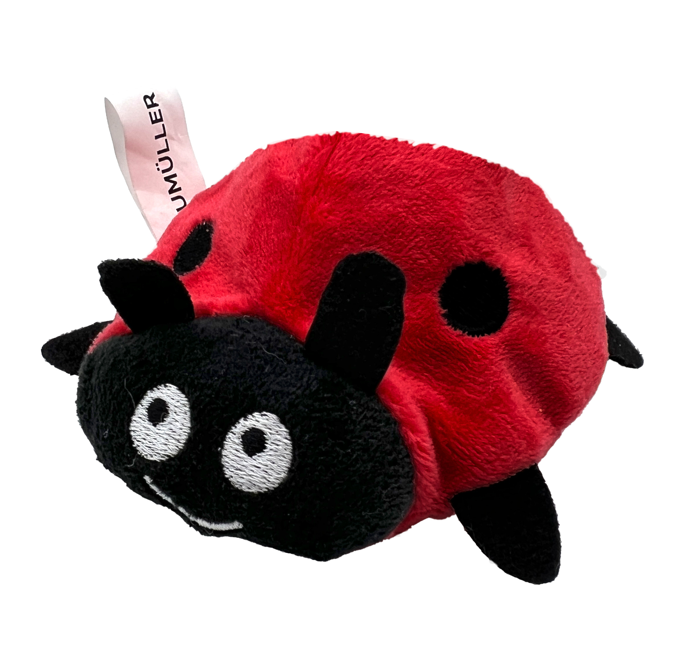 Aumüller Katzenspielzeug Marienkäfer Dotty